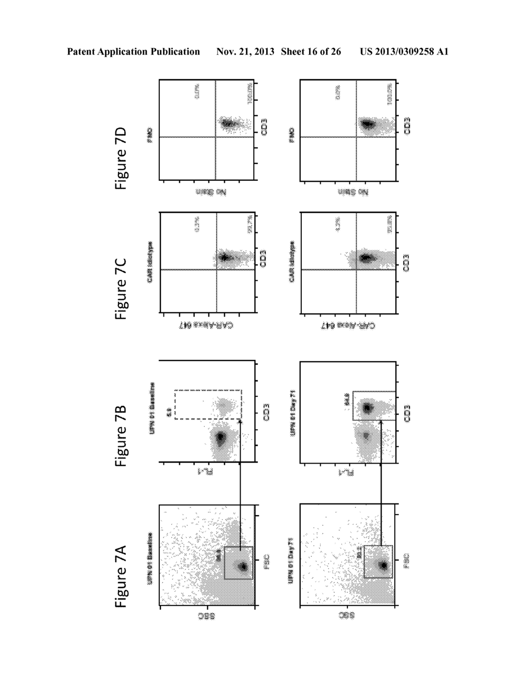 Methods for Treatment of Cancer - diagram, schematic, and image 17