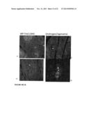 COMPOUNDS AND METHODS diagram and image