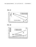 METHOD FOR PRODUCING ETHANOL USING RAW STARCH diagram and image