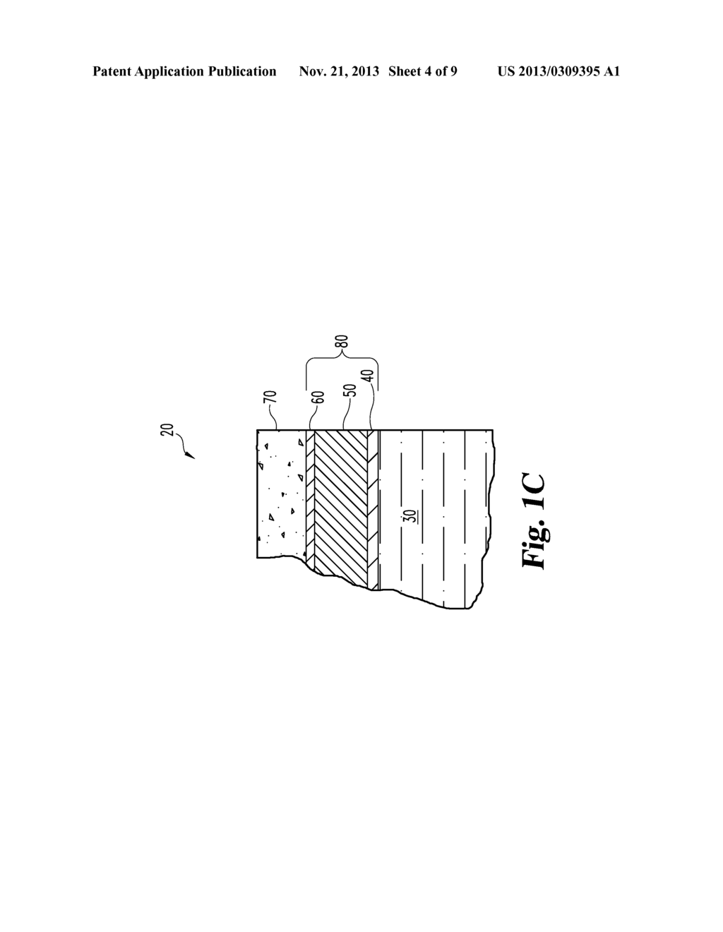 BIOSENSOR TEST MEMBER AND METHOD FOR MAKING THE SAME - diagram, schematic, and image 05