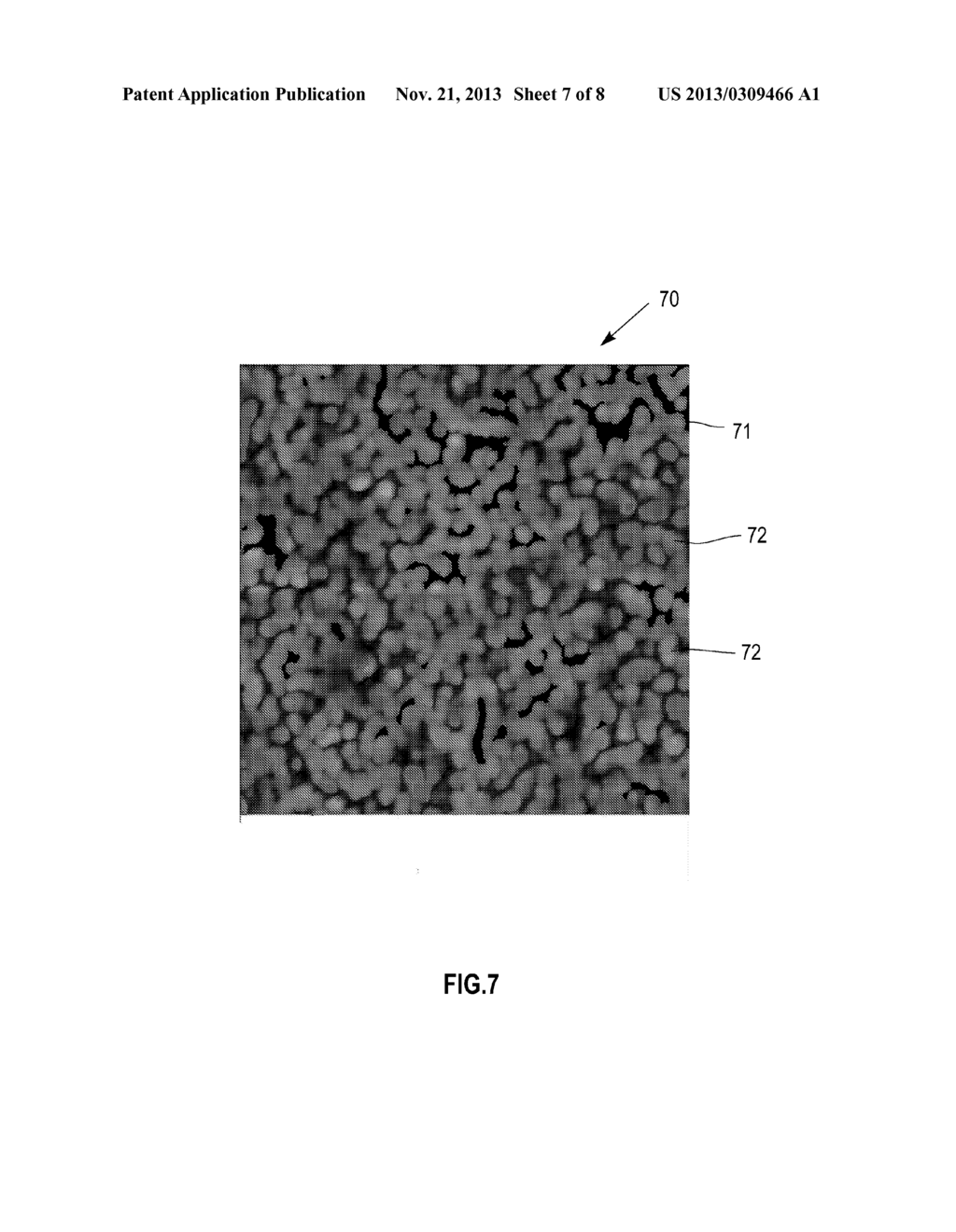 STRUCTURE INCLUDING A MATERIAL HAVING A PREDEFINED MORPHOLOGY - diagram, schematic, and image 08