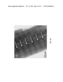 CARBON AND CARBON/SILICON COMPOSITE NANOSTRUCTURED MATERIALS AND CASTING     FORMATION METHOD diagram and image