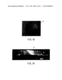 RESIN MOLDED BODY AND METHOD OF MANUFACTURING SAME diagram and image