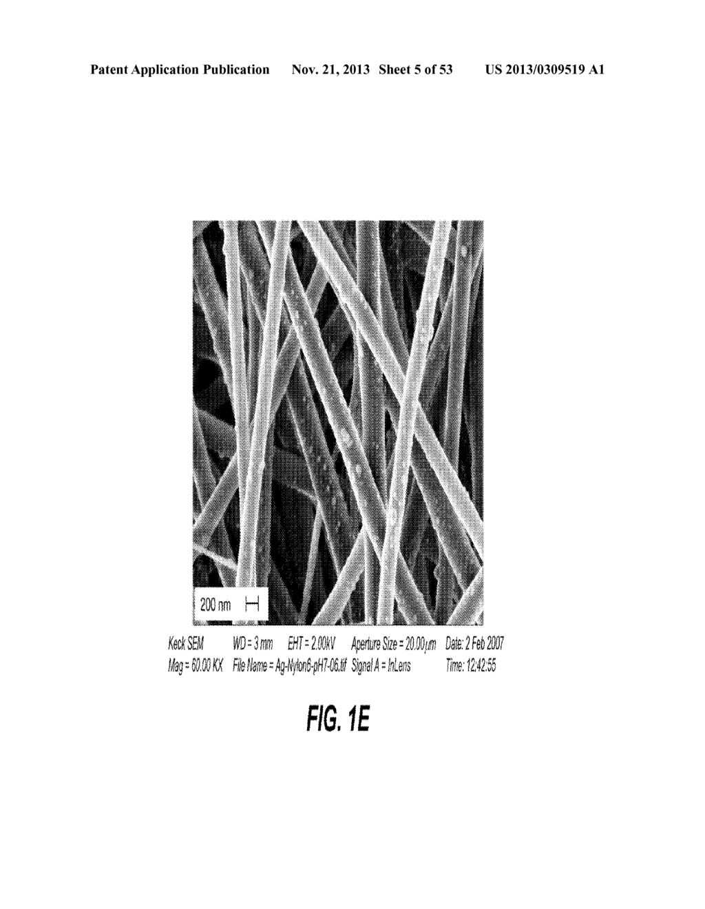 CONFORMAL PARTICLE COATINGS ON FIBROUS MATERIALS - diagram, schematic, and image 06