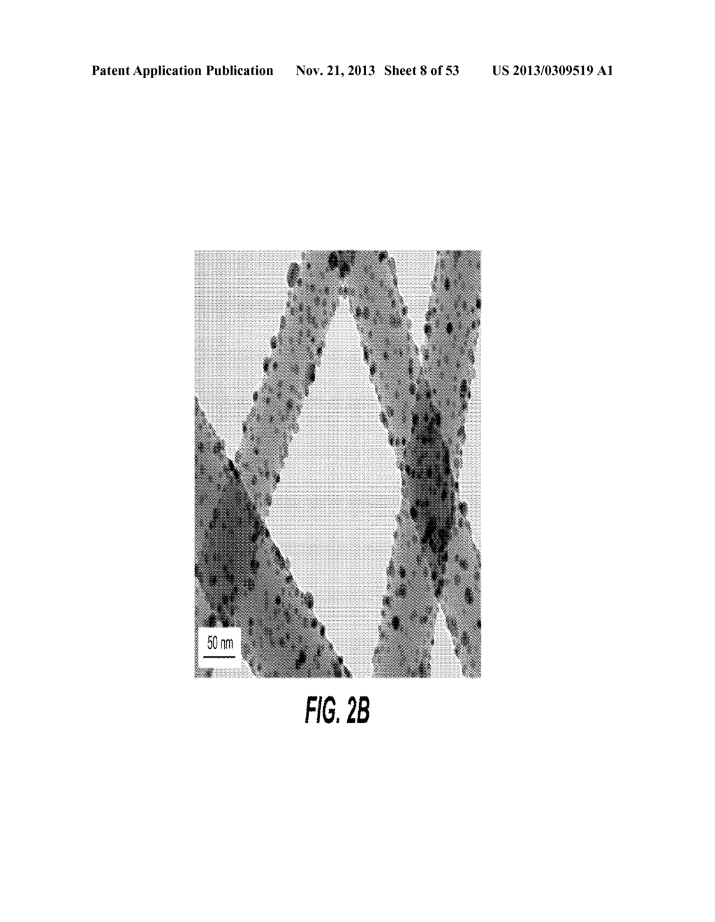 CONFORMAL PARTICLE COATINGS ON FIBROUS MATERIALS - diagram, schematic, and image 09