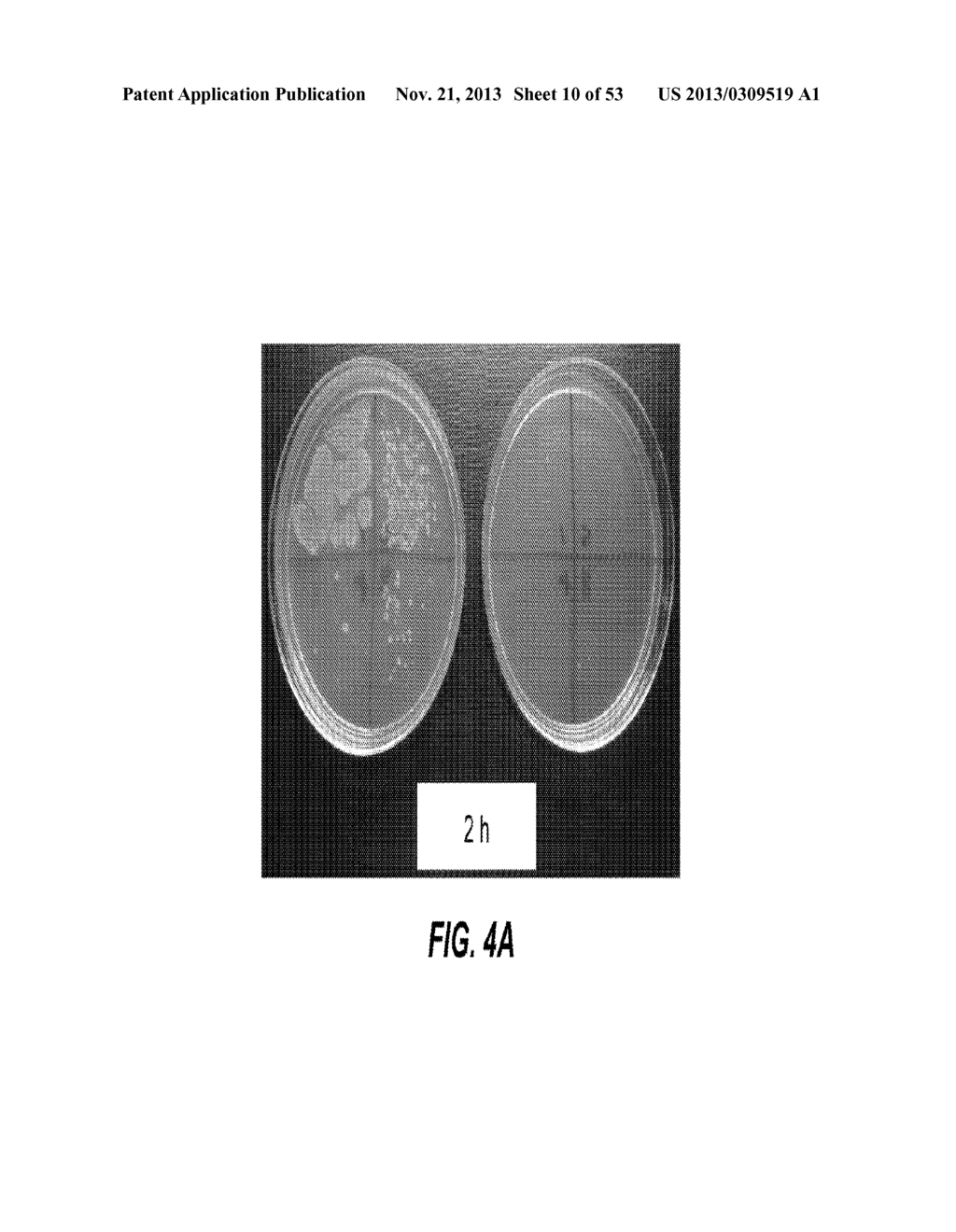 CONFORMAL PARTICLE COATINGS ON FIBROUS MATERIALS - diagram, schematic, and image 11