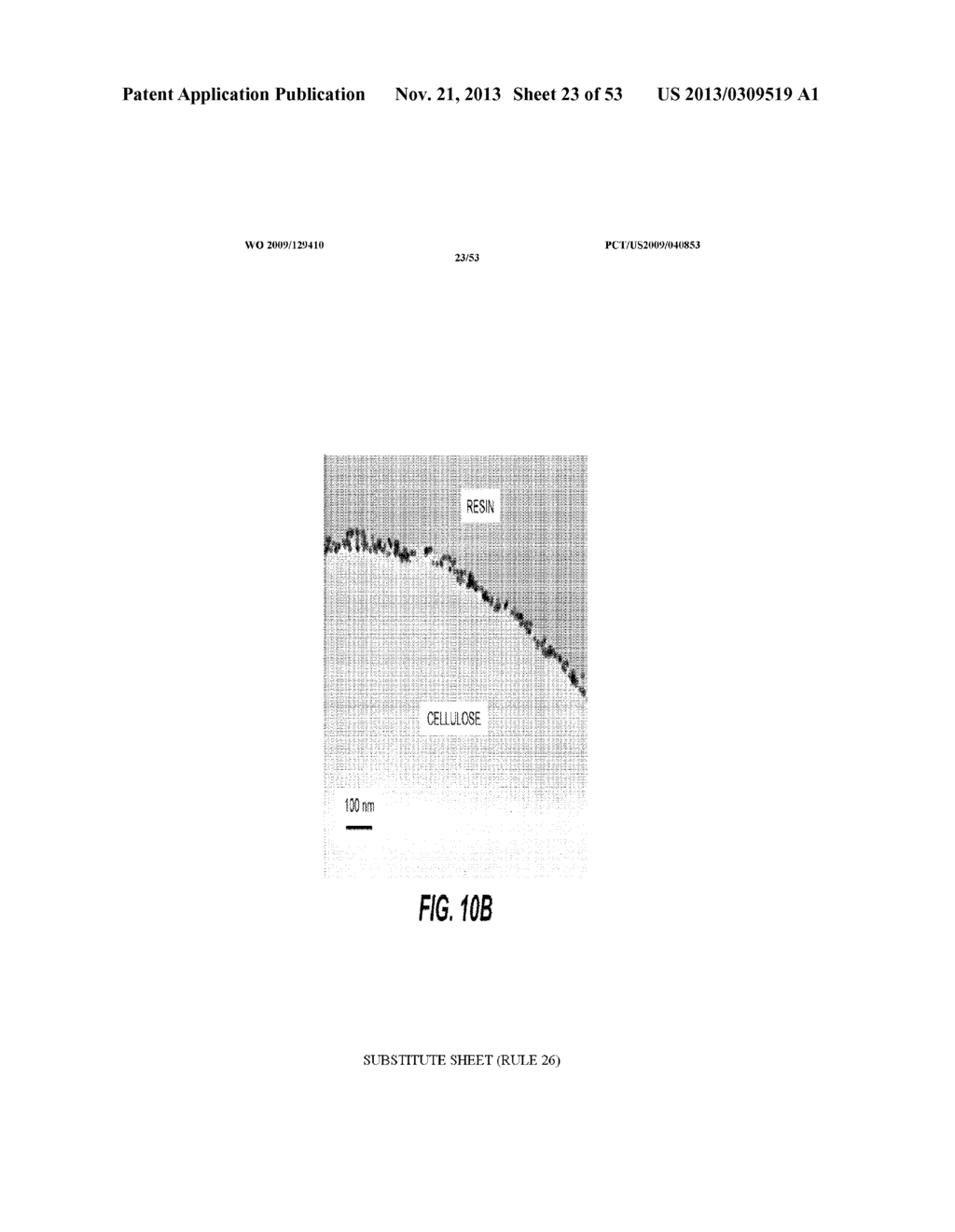 CONFORMAL PARTICLE COATINGS ON FIBROUS MATERIALS - diagram, schematic, and image 24