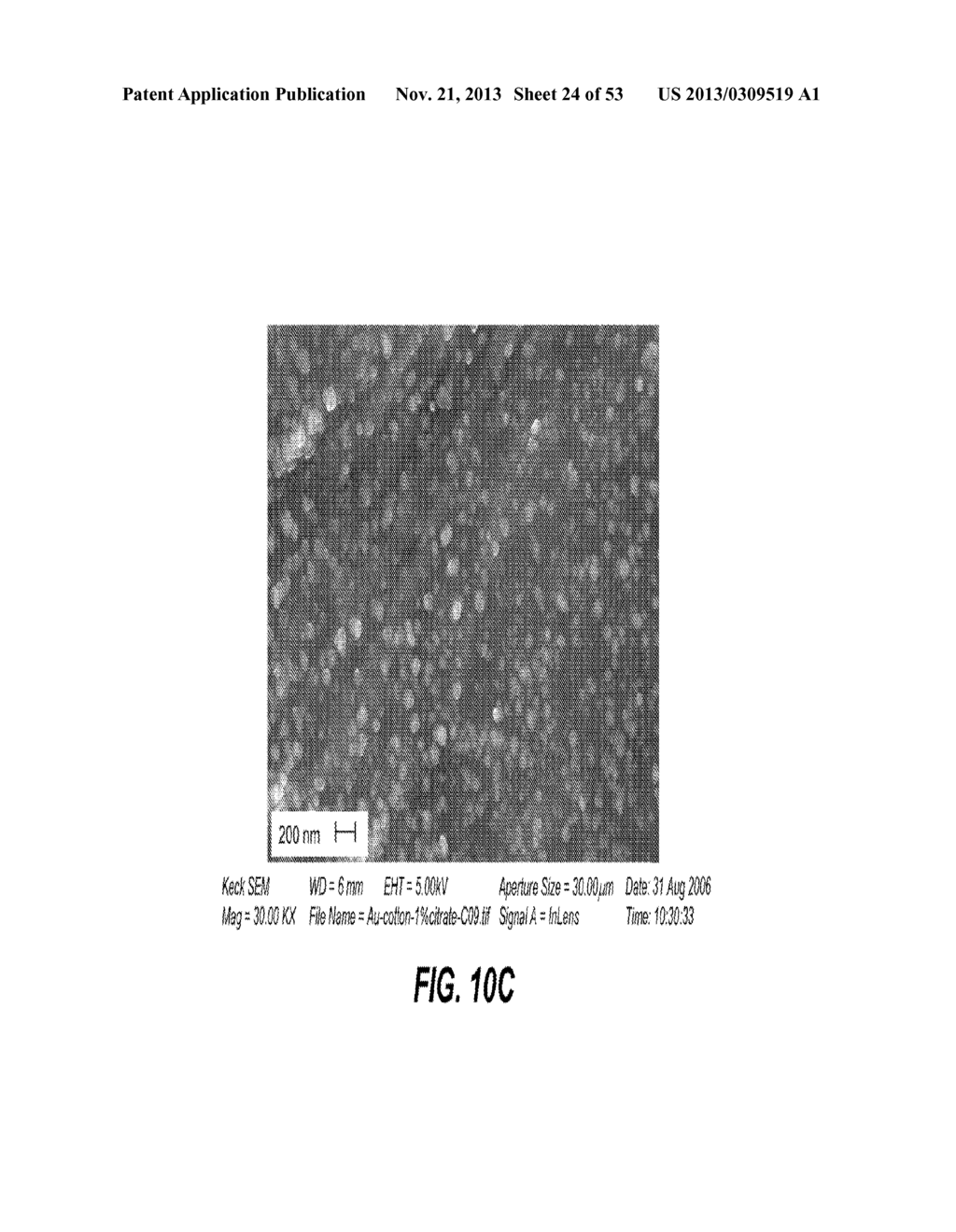 CONFORMAL PARTICLE COATINGS ON FIBROUS MATERIALS - diagram, schematic, and image 25