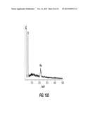 CONFORMAL PARTICLE COATINGS ON FIBROUS MATERIALS diagram and image