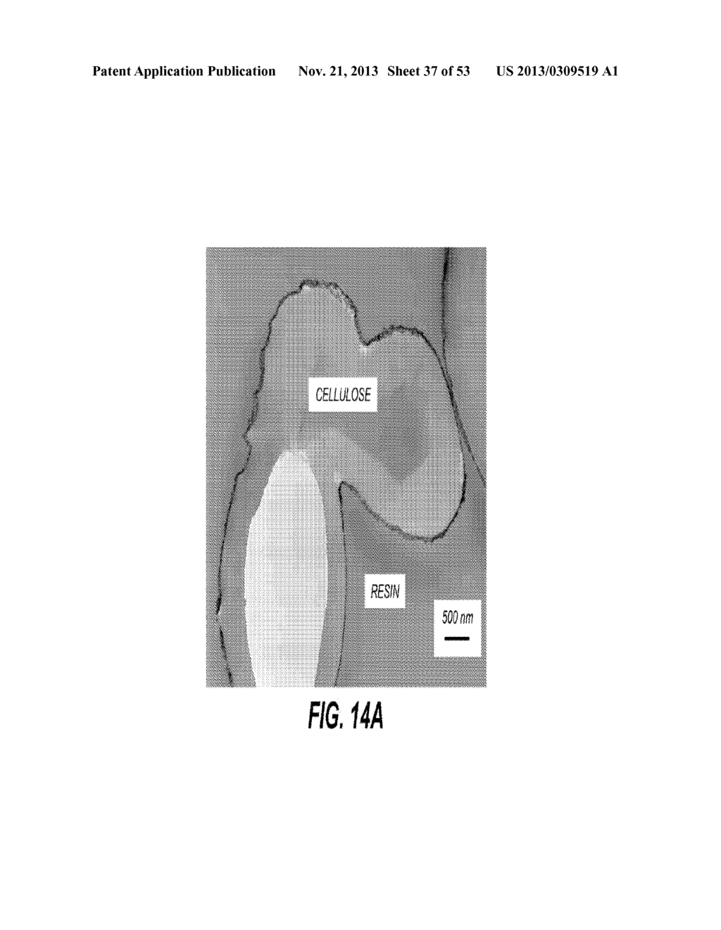 CONFORMAL PARTICLE COATINGS ON FIBROUS MATERIALS - diagram, schematic, and image 38