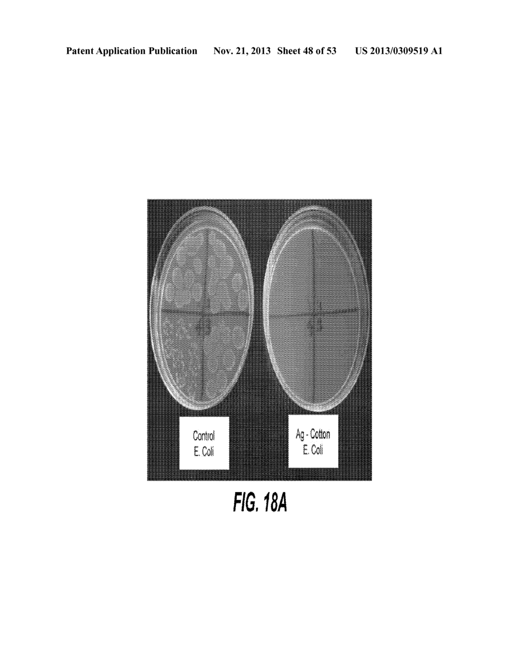 CONFORMAL PARTICLE COATINGS ON FIBROUS MATERIALS - diagram, schematic, and image 49