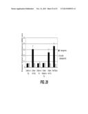 CONFORMAL PARTICLE COATINGS ON FIBROUS MATERIALS diagram and image