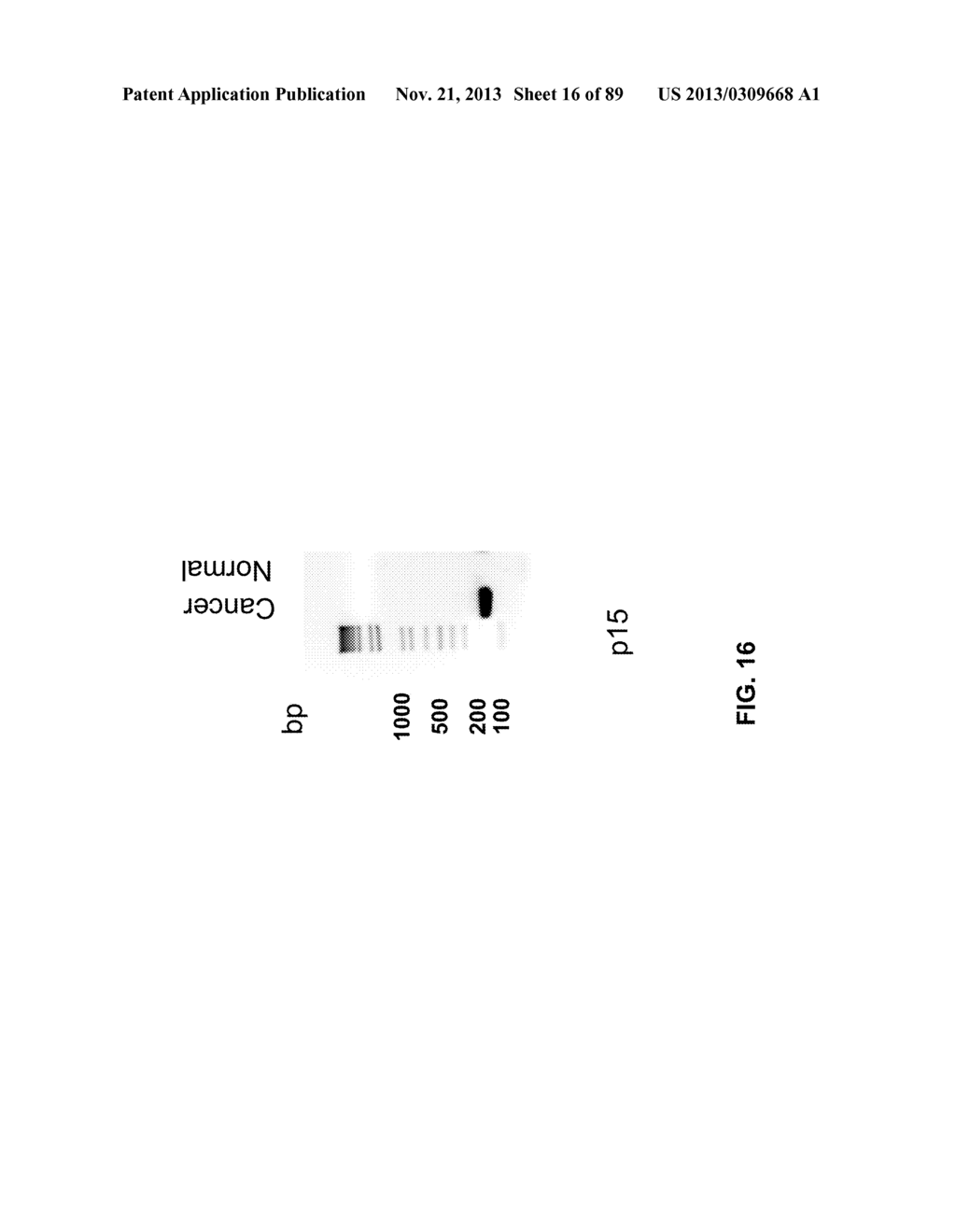 METHODS AND COMPOSITIONS FOR GENERATING AND AMPLIFYING DNA LIBRARIES FOR     SENSITIVE DETECTION AND ANALYSIS OF DNA METHYLATION - diagram, schematic, and image 17