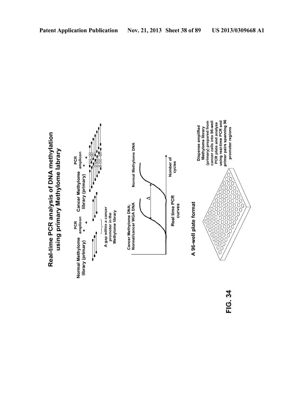 METHODS AND COMPOSITIONS FOR GENERATING AND AMPLIFYING DNA LIBRARIES FOR     SENSITIVE DETECTION AND ANALYSIS OF DNA METHYLATION - diagram, schematic, and image 39