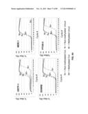 METHODS AND COMPOSITIONS FOR GENERATING AND AMPLIFYING DNA LIBRARIES FOR     SENSITIVE DETECTION AND ANALYSIS OF DNA METHYLATION diagram and image