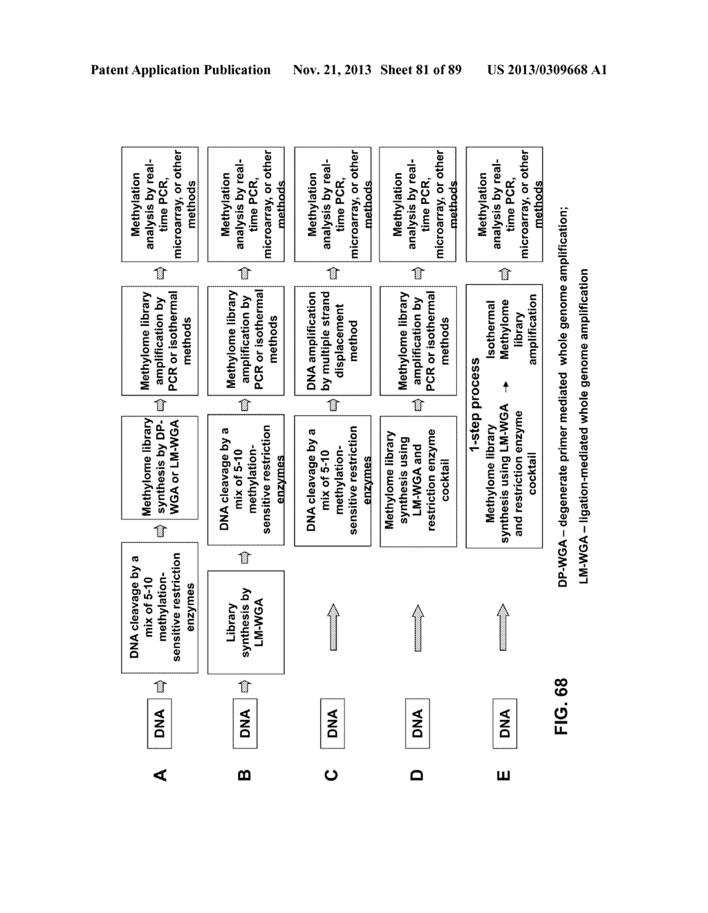 METHODS AND COMPOSITIONS FOR GENERATING AND AMPLIFYING DNA LIBRARIES FOR     SENSITIVE DETECTION AND ANALYSIS OF DNA METHYLATION - diagram, schematic, and image 82