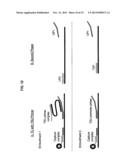 METHODS AND COMPOSITIONS FOR NUCLEIC ACID AMPLIFICATION diagram and image