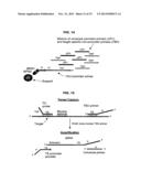 METHODS AND COMPOSITIONS FOR NUCLEIC ACID AMPLIFICATION diagram and image