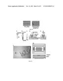 FLUIDIC DEVICES AND SYSTEMS FOR SAMPLE PREPARATION OR AUTONOMOUS ANALYSIS diagram and image