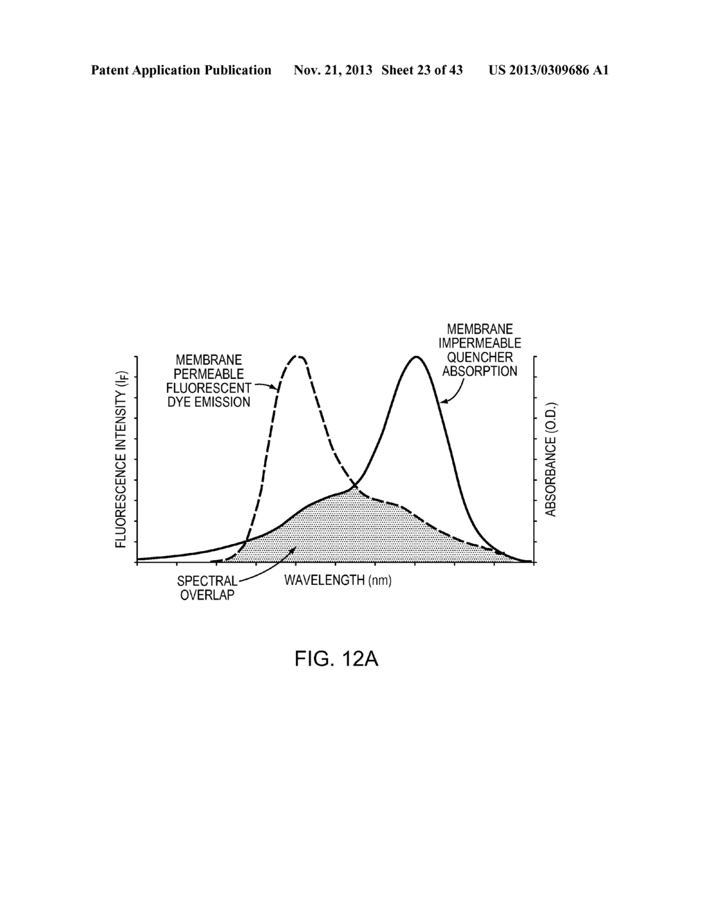 VIABILITY STAINING METHOD - diagram, schematic, and image 24