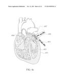 SELECTIVE 3D BIOPATTERNING diagram and image