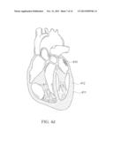 SELECTIVE 3D BIOPATTERNING diagram and image