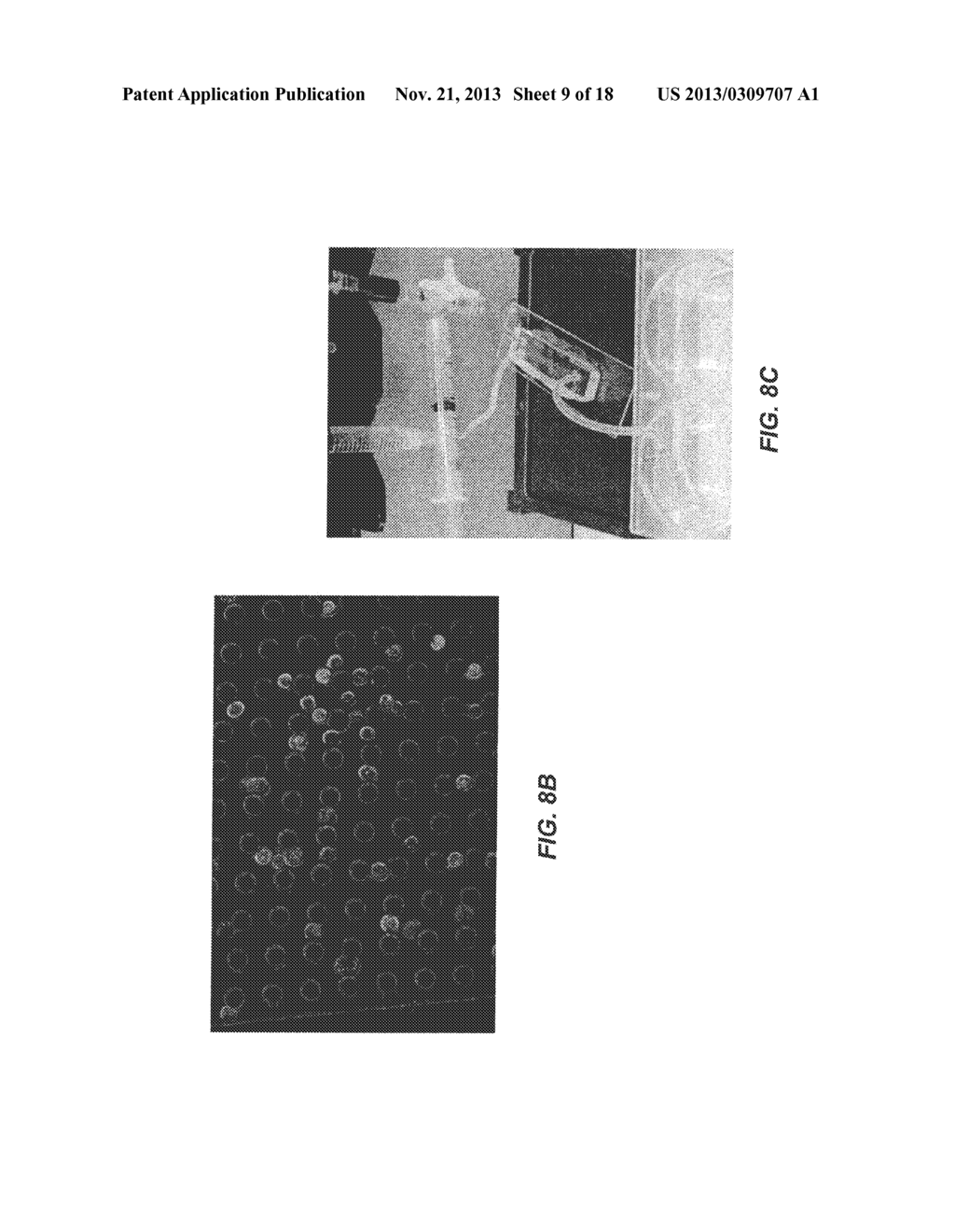 Circulating Tumor Cell Capturing Techniques and Devices - diagram, schematic, and image 10