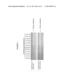 STEP-UP METHOD FOR COLD-PCR ENRICHMENT diagram and image