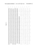 MGMT-BASED METHOD FOR OBTAINING HIGH YEILDS OF RECOMBINANT PROTEIN     EXPRESSION diagram and image