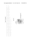 MGMT-BASED METHOD FOR OBTAINING HIGH YEILDS OF RECOMBINANT PROTEIN     EXPRESSION diagram and image