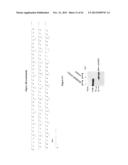 MGMT-BASED METHOD FOR OBTAINING HIGH YEILDS OF RECOMBINANT PROTEIN     EXPRESSION diagram and image