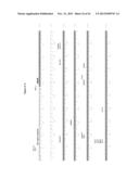 MGMT-BASED METHOD FOR OBTAINING HIGH YEILDS OF RECOMBINANT PROTEIN     EXPRESSION diagram and image