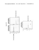 MGMT-BASED METHOD FOR OBTAINING HIGH YEILDS OF RECOMBINANT PROTEIN     EXPRESSION diagram and image