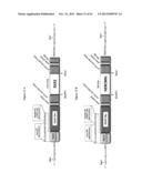 MGMT-BASED METHOD FOR OBTAINING HIGH YEILDS OF RECOMBINANT PROTEIN     EXPRESSION diagram and image