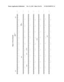 MGMT-BASED METHOD FOR OBTAINING HIGH YEILDS OF RECOMBINANT PROTEIN     EXPRESSION diagram and image