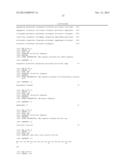 MGMT-BASED METHOD FOR OBTAINING HIGH YEILDS OF RECOMBINANT PROTEIN     EXPRESSION diagram and image