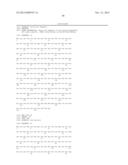 MGMT-BASED METHOD FOR OBTAINING HIGH YEILDS OF RECOMBINANT PROTEIN     EXPRESSION diagram and image