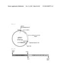 METHOD FOR TRANSFORMATION OF STRAMENOPILE diagram and image