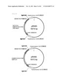 METHOD FOR TRANSFORMATION OF STRAMENOPILE diagram and image