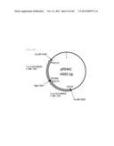 METHOD FOR TRANSFORMATION OF STRAMENOPILE diagram and image