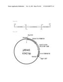 METHOD FOR TRANSFORMATION OF STRAMENOPILE diagram and image