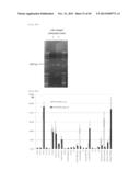 METHOD FOR TRANSFORMATION OF STRAMENOPILE diagram and image