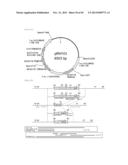 METHOD FOR TRANSFORMATION OF STRAMENOPILE diagram and image