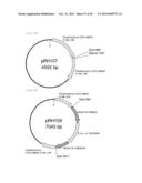 METHOD FOR TRANSFORMATION OF STRAMENOPILE diagram and image