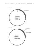 METHOD FOR TRANSFORMATION OF STRAMENOPILE diagram and image