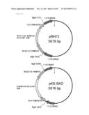 METHOD FOR TRANSFORMATION OF STRAMENOPILE diagram and image