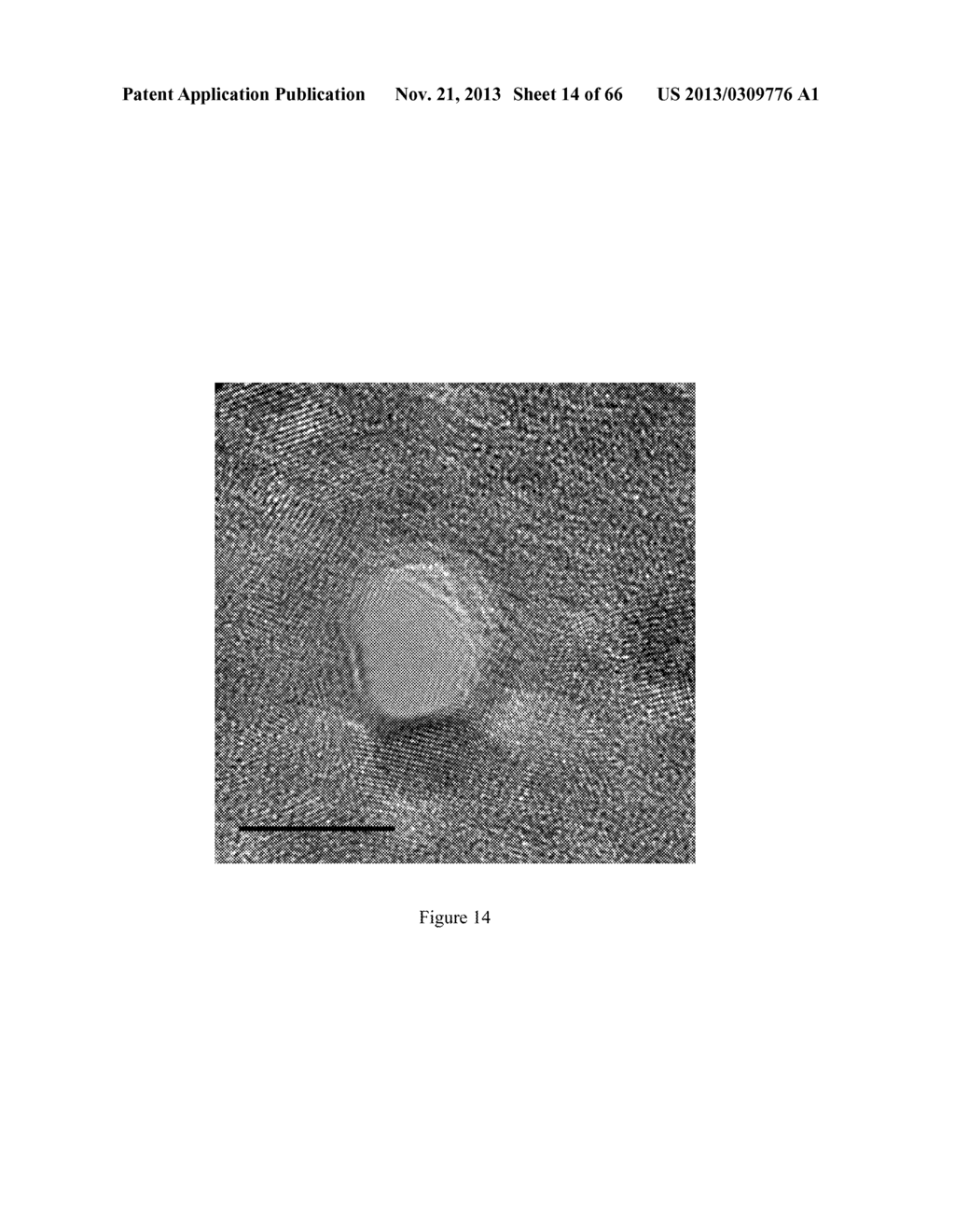 Graphene-Based Nanopore and Nanostructure Devices and Methods for     Macromolecular Analysis - diagram, schematic, and image 15