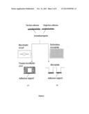 NOVEL ADHESIVE SURFACES FOR THE IMMOBILIZATION OF LIGANDS diagram and image