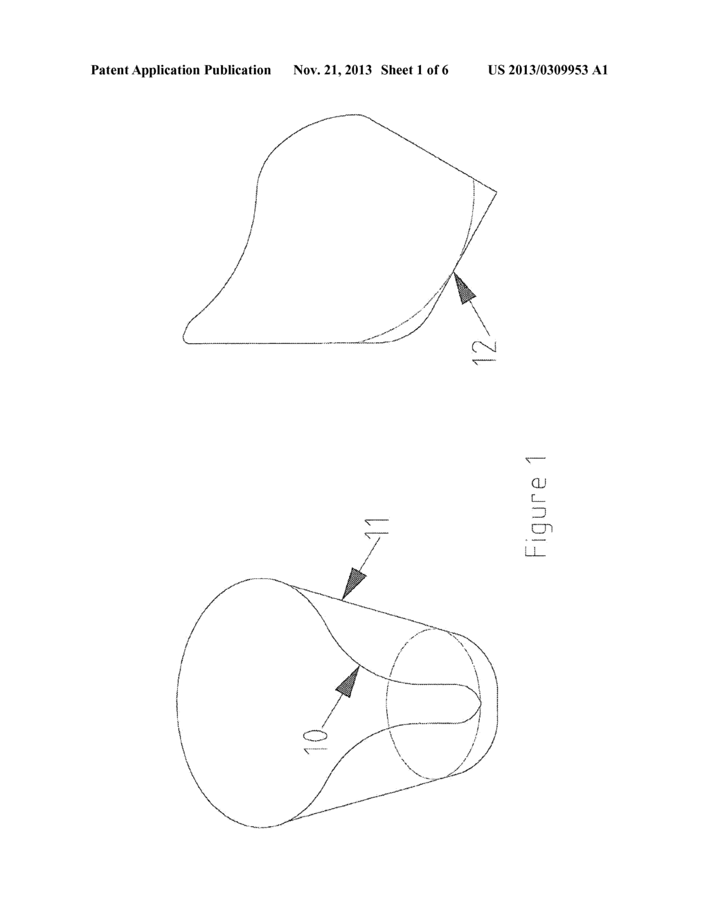 Method and Installation for Killing Poultry - diagram, schematic, and image 02