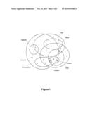 HUMAN LACTOFERRIN DERIVED PEPTIDES AND THEIR USE diagram and image